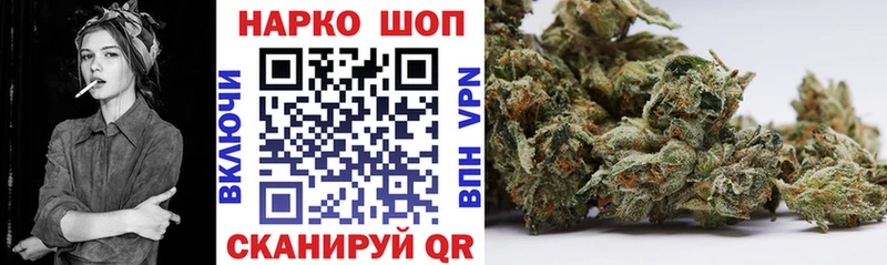 МЕФ Правдинск