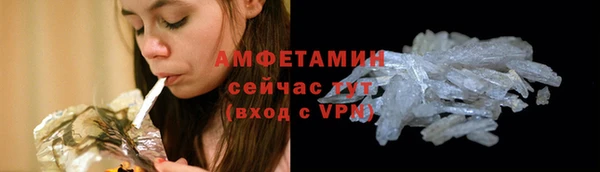 стаф Новозыбков