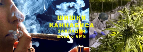 PSILOCYBIN Нефтегорск