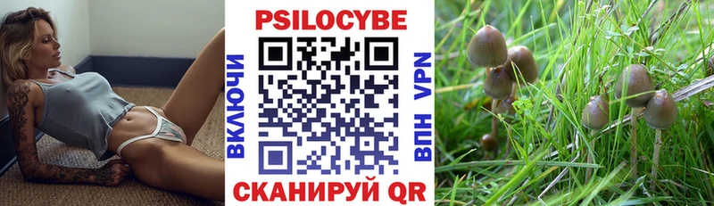 Галлюциногенные грибы Magic Shrooms площадка наркотические препараты Правдинск